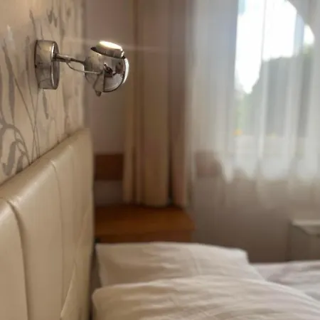 Hotel U Grubego 3*