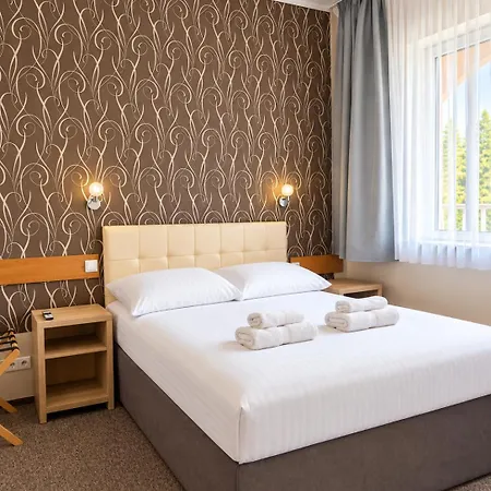 Hotel U Grubego 3*