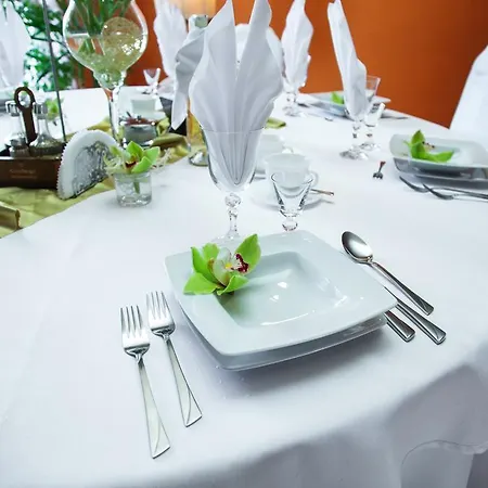 Hotel U Grubego 3*